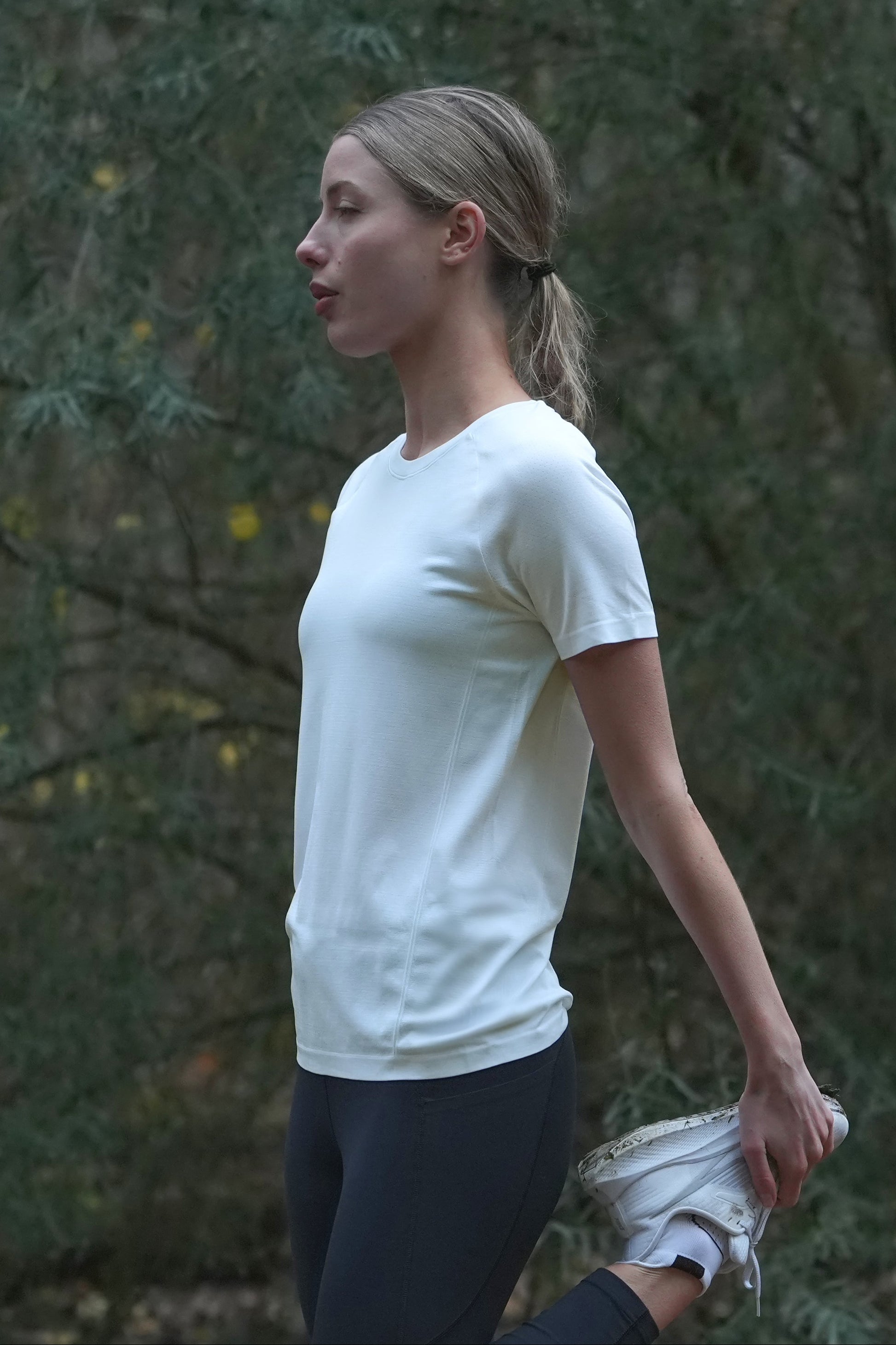 Iceberg White